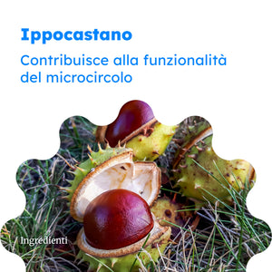 Viviven Compresse con Escina