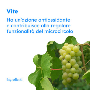 Viviven Compresse con Escina