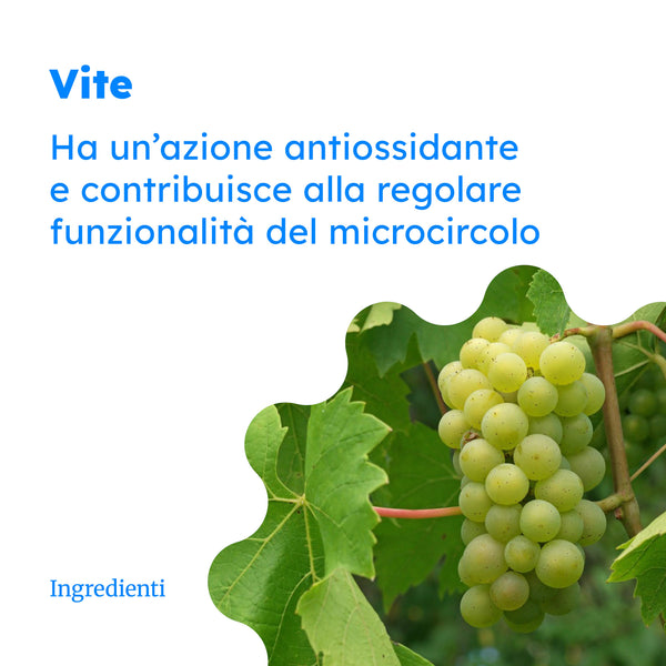 Viviven Compresse con Escina